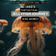 Jake's Fantastical Jellyfish Journey by Wise Whimsy 9781088043448