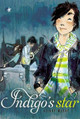 Indigo's Star by Hilary McKay 9781416914037