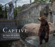 Captive by Jo-Anne McArthur 9781590565629