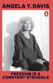 Freedom Is A Constant Struggle by Angela Y. Davis