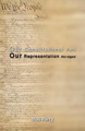 Our Constitutional Peril: Our Representation Abridged by Bob Perry 9781646101849
