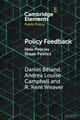 Policy Feedback: How Policies Shape Politics by Daniel  Beland