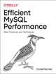 Efficient MySQL Performance: Best Practices and Techniques by Daniel Nichter