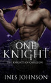One Knight by Ines Johnson 9781954181397