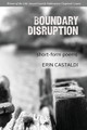 Boundary Disruption by Erin Castaldi 9781645993674