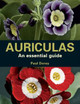 Auriculas: An Essential Guide by Paul Dorey