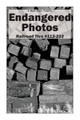 Endangered Photos: Railroad Ties #112-222 by Mark Dahle 9781946112101
