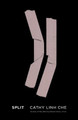 Split by Cathy Linh Che 9781938584053