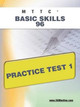 Mttc Basic Skills 96 Practice Test 1 by Sharon A Wynne 9781607872214