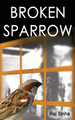 Broken Sparrow by Raj Sinha 9789386487094