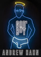 God's Boy by Andrew Hahn 9781943977697
