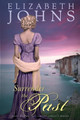 Surrender the Past by Elizabeth Johns 9781733958745