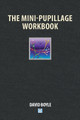 The Mini-Pupillage Workbook by David Boyle 9781912687749