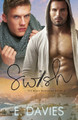 Swish by E. Davies 9781912245024