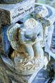 The Headless Angel by Bill Brown 9781604542639