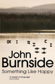 Something Like Happy by John Burnside