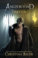 Lincoln by Christina Bauer 9781946677204