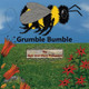 Grumble Bumble by Bob Patterson 9781970037746