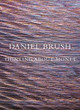 Daniel Brush: Thinking about Monet by Daniel Brush 9798987784525