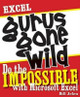 Excel Gurus Gone Wild: Do the IMPOSSIBLE with Microsoft Excel by Bill Jelen 9781932802405