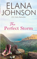 The Perfect Storm by Elana Johnson 9781638760986