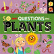 So Many Questions: About Plants Sally Spray 9781526317803