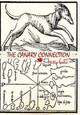The Canary Connection by Phillip Spolin 9781642555523