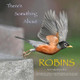 There's Something About Robins by Nick Vakalopoulos 9781961978034