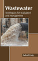 Wastewater: Techniques for Evaluation and Management by Gabriel Craig 9781639875672