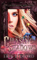Chasing Shadows by Erin Bedford 9781951958022