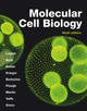Molecular Cell Biology by Harvey Lodish
