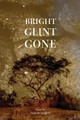 Bright Glint Gone by Suzanne Langlois 9781735673202