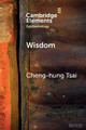 Wisdom: A Skill Theory by Cheng-hung Tsai 9781009222891