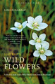 Harrap’s Wild Flowers Simon Harrap 9781399418904