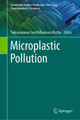 Microplastic Pollution by Subramanian Senthilkannan Muthu 9789811602962
