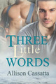Three Little Words by Allison Cassatta 9781634775663