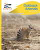 Reading Planet - Outback Animals - Yellow Plus: Rocket Phonics Emma Anthonisz 9781510486034