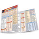 Japanese Verbs: a QuickStudy Laminated Reference Guide by Misa Lindberg, MEd, TESOL