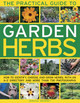 Practical Guide to Garden Herbs by Jessica Houdret