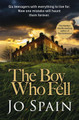 The Boy Who Fell by Jo Spain