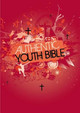 ERV Authentic Youth Bible Red by Bible League International 9781860248184