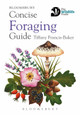 Concise Foraging Guide by Tiffany Francis-Baker