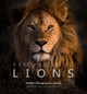 Remembering Lions by Margot Raggett
