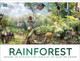 Rainforest DK 9780241716427