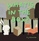 What's in the box?: A children's book about imagination and problem solving by P J Kennan 9780645744675