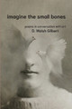 imagine the small bones by D Walsh Gilbert 9780967555492