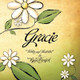 Gracie by Ryan Warnick 9780615142661