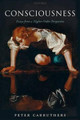 Consciousness: Essays from a Higher-Order Perspective by Peter Carruthers 9780199277360