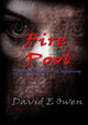 Fire Pool Lord David Owen (University of Southampton) 9780244063023