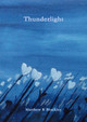 Thunderlight by Matthew R Brackley 9780244308605